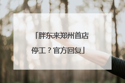 胖东来郑州首店停工？官方回复