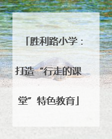 胜利路小学：打造“行走的课堂”特色教育