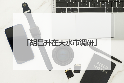 胡昌升在天水市调研