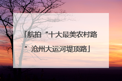 航拍“十大最美农村路”沧州大运河堤顶路