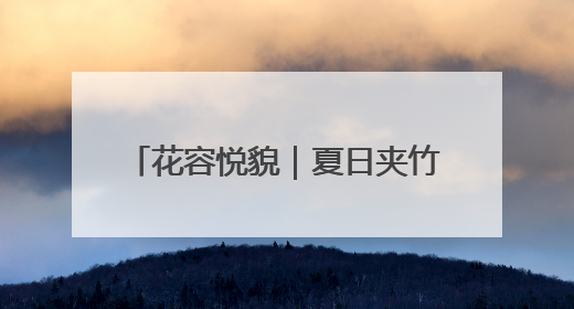 花容悦貌｜夏日夹竹桃盛开娇艳繁花，但观赏时“碰不得”