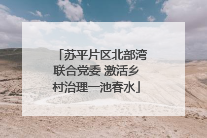 苏平片区北部湾联合党委 激活乡村治理一池春水