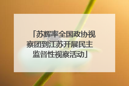苏辉率全国政协视察团到江苏开展民主监督性视察活动