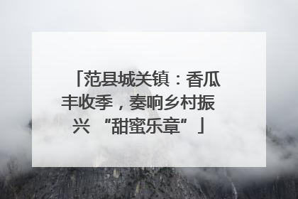 范县城关镇：香瓜丰收季，奏响乡村振兴 “甜蜜乐章”