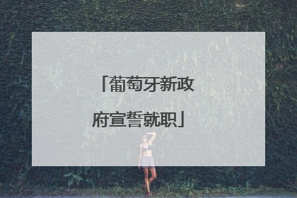 葡萄牙新政府宣誓就职