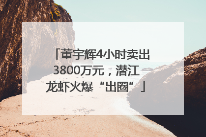 董宇辉4小时卖出3800万元，潜江龙虾火爆“出圈”