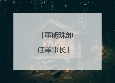 董明珠卸任董事长