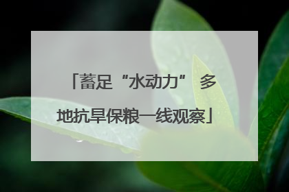 蓄足“水动力” 多地抗旱保粮一线观察