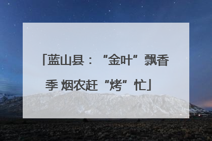 蓝山县：“金叶”飘香季 烟农赶“烤”忙