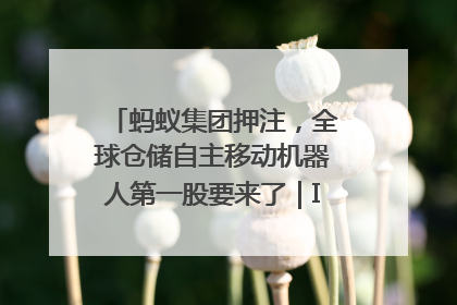 蚂蚁集团押注，全球仓储自主移动机器人第一股要来了｜IPO直通车