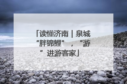 读懂济南｜泉城“胖锦鲤”，“游”进游客家