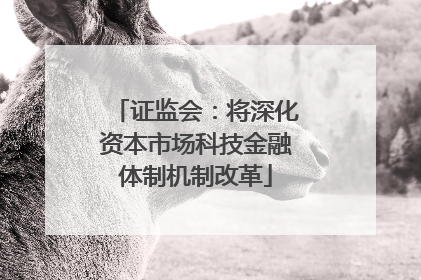 证监会：将深化资本市场科技金融体制机制改革