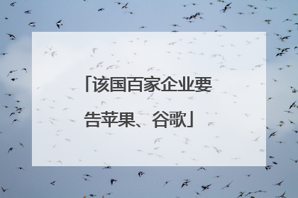 该国百家企业要告苹果、谷歌