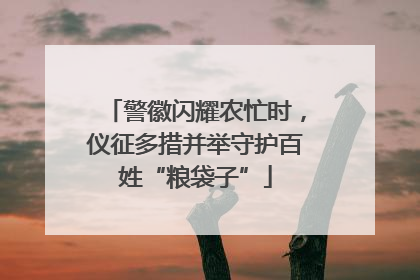 警徽闪耀农忙时，仪征多措并举守护百姓“粮袋子”