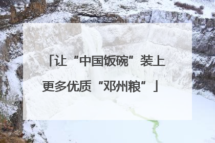 让“中国饭碗”装上更多优质“邓州粮”