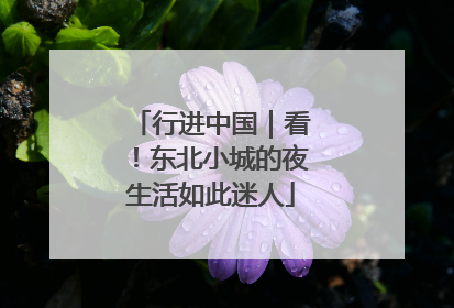 行进中国｜看！东北小城的夜生活如此迷人