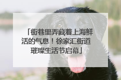 街巷里弄藏着上海鲜活的气息！徐家汇街道璀璨生活节启幕