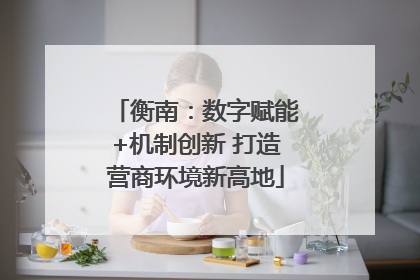 衡南：数字赋能+机制创新 打造营商环境新高地
