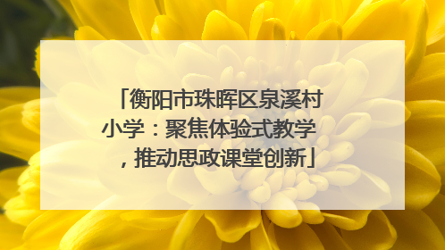 衡阳市珠晖区泉溪村小学：聚焦体验式教学，推动思政课堂创新