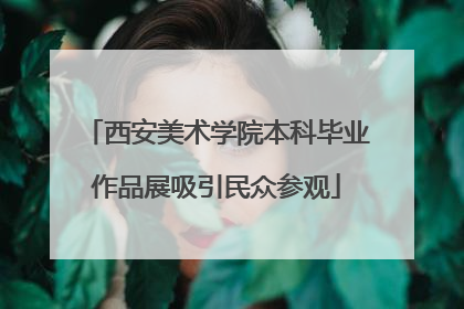 西安美术学院本科毕业作品展吸引民众参观
