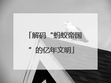 解码“蚂蚁帝国”的亿年文明