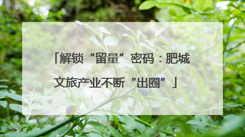 解锁“留量”密码：肥城文旅产业不断“出圈”