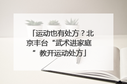 运动也有处方？北京丰台“武术进家庭”教开运动处方