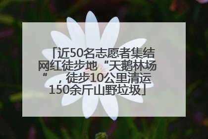 近50名志愿者集结网红徒步地“天鹅林场”，徒步10公里清运150余斤山野垃圾