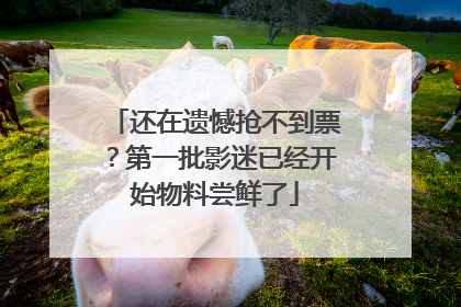 还在遗憾抢不到票？第一批影迷已经开始物料尝鲜了