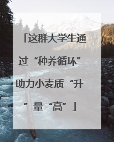 这群大学生通过“种养循环”助力小麦质“升”量“高”