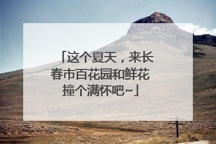 这个夏天，来长春市百花园和鲜花撞个满怀吧~