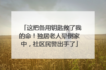 这把备用钥匙救了我的命！独居老人晕倒家中，社区民警出手了
