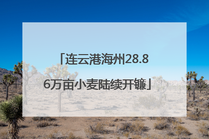 连云港海州28.86万亩小麦陆续开镰
