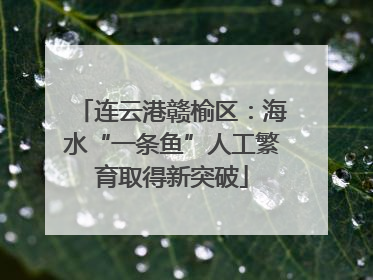 连云港赣榆区：海水“一条鱼”人工繁育取得新突破