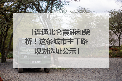 连通北仑霞浦和柴桥！这条城市主干路规划选址公示