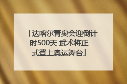 达喀尔青奥会迎倒计时500天 武术将正式登上奥运舞台