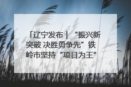 辽宁发布｜“振兴新突破 决胜勇争先”铁岭市坚持“项目为王”推进经济高质量发展