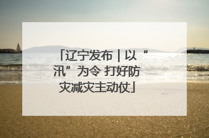 辽宁发布｜以“汛”为令 打好防灾减灾主动仗
