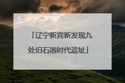 辽宁新宾新发现九处旧石器时代遗址
