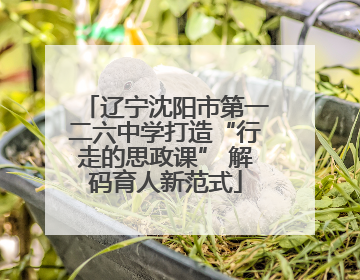 辽宁沈阳市第一二六中学打造“行走的思政课” 解码育人新范式
