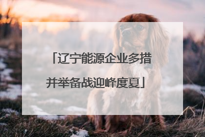 辽宁能源企业多措并举备战迎峰度夏