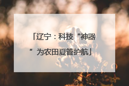 辽宁：科技“神器”为农田夏管护航