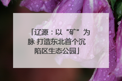 辽源：以“矿”为脉 打造东北首个沉陷区生态公园