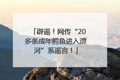 辟谣！网传“20多条成年鳄鱼进入澧河”系谣言！