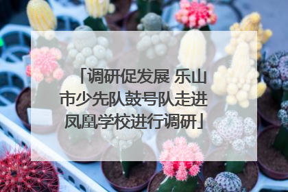 调研促发展 乐山市少先队鼓号队走进凤凰学校进行调研