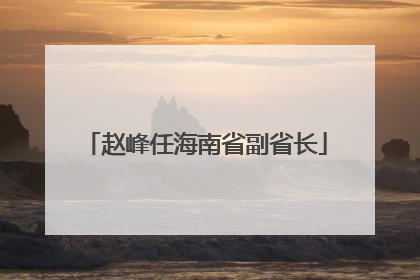 赵峰任海南省副省长