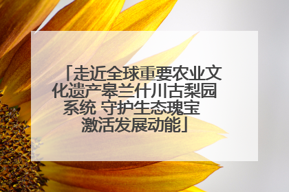 走近全球重要农业文化遗产皋兰什川古梨园系统 守护生态瑰宝 激活发展动能
