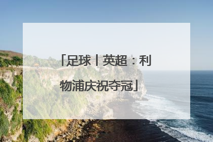 足球丨英超：利物浦庆祝夺冠