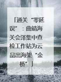 通关“零延误”：曲靖海关会泽集中查检工作站为云品出海架“金桥”