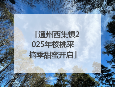 通州西集镇2025年樱桃采摘季甜蜜开启